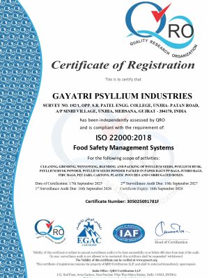 GPI-ISO-16-09-2028