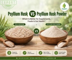 Psyllium Husk vs Psyllium Husk Powder